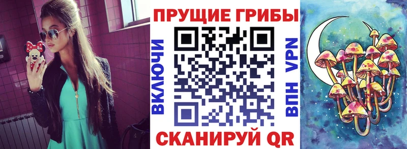 Галлюциногенные грибы Magic Shrooms  kraken   Черкесск  купить наркоту 